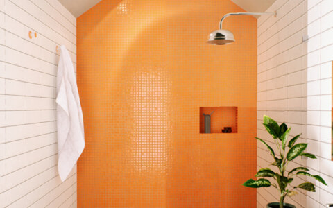 Image Not Found On Media Library