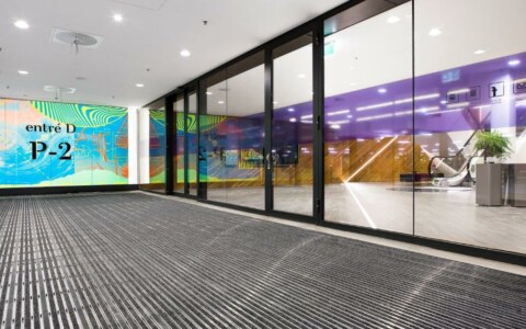 Image Not Found On Media Library