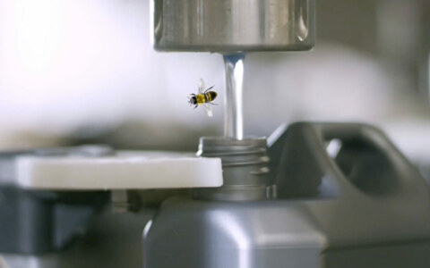 Image Not Found On Media Library